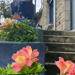 B&B Parenthese A La Maison De L'ecrivain Entre Nature Et Petit Dejeuner Festin Servon (Manche)