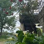 B&B Parenthese A La Maison De L'ecrivain Entre Nature Et Petit Dejeuner Festin Servon (Manche)