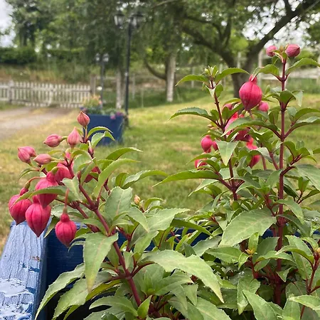 Parenthese A La Maison De L'ecrivain Entre Nature Et Petit Dejeuner Festin Nocleg ze śniadaniem