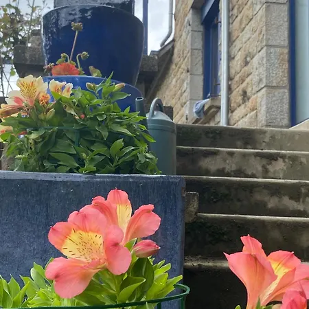 Bed & Breakfast Domaine La Perruche Parenthese Poetique Vue Mont-Saint-Michel & Petit-Dejeuner Festin Servon (Manche)