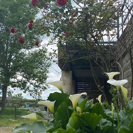 Bed & Breakfast Domaine La Perruche Parenthese Poetique Vue Mont-Saint-Michel & Petit-Dejeuner Festin Servon (Manche)