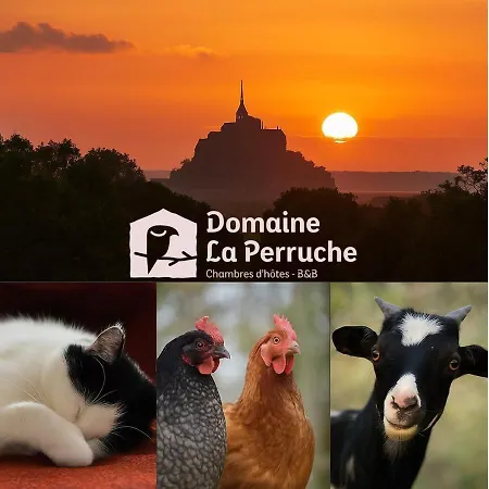 Bed & Breakfast Domaine La Perruche Parenthese Poetique Vue Mont-Saint-Michel & Petit-Dejeuner Festin