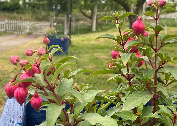 Parenthese Poetique Face Au Mont-Saint-Michel, Entre Nature Vivante, Animaux Et Petit-Dejeuner Festin Oda ve Kahvaltı