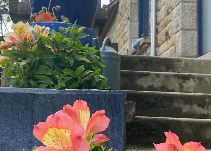 Oda ve Kahvaltı Parenthese Poetique Face Au Mont-Saint-Michel, Entre Nature Vivante, Animaux Et Petit-Dejeuner Festin Servon (Manche)